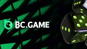 Comprehensive Guide Support BC.Game USA